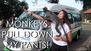 MONKEY ATTACK | Kuala Lumpur Part 5