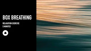 Box Breathing - 5 Minutes Deep Relaxation Exercise