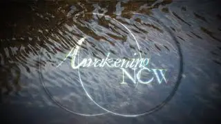 Introduction | Awakening NOW