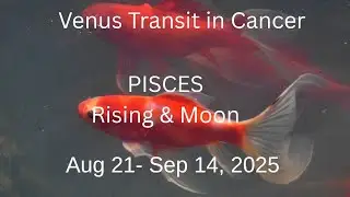 Art planet Venus Transit&nbsp;in Cancer on Aug 21, 2025. It's impact on Pisces Rising & Moon