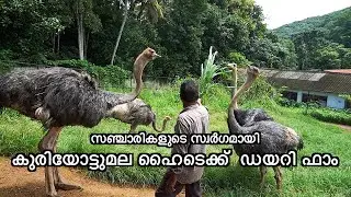 EPI 692 Farm Tourism - Hitech Dairy Farm - Kuriottumala