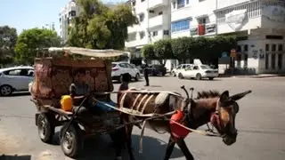 La vida en Gaza, 