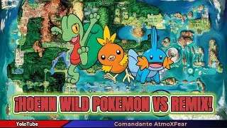 Pok&eacute;mon Hoenn Wild Battle Remix- Omega Ruby & Alpha Sapphire