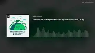 Episode 14 | Saving Asia's Elephants | Conservation Efforts with Sarah Conley