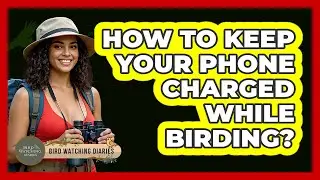 How to Keep Your Phone Charged While Birding?