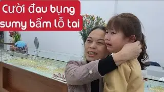CƯỜI ĐAU BỤNG SUMY ĐƯỢC NỘI ĐƯA ĐI BẤM LỖ TAI VÀNG.