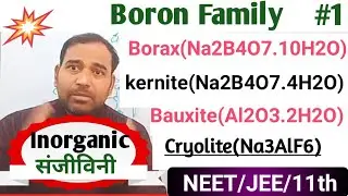 Boron Family|L-1 Exclusively metallic character borax,kernite,Bauxite,cryolite,NEET/JEE/11th by zeya