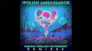 The Polish Ambassador - Koyelia (Gladkill Remix)