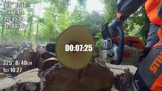 Stihl MS 291 | Cutting Challange | 3/8 vs. .325 | 30cm bricht hard wood