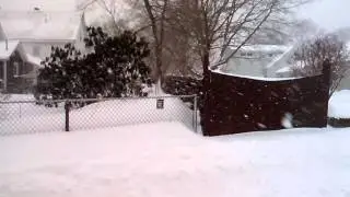 Blizzard Juno, 2015