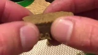 Og Kush Hash upclose