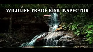 WILDLIFE TRADE RISK INSPECTOR