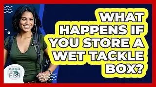 What Happens If You Store A Wet Tackle Box?