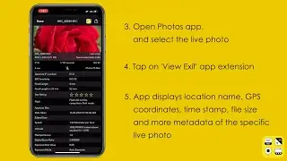 How to view  Exif Metadata of a Live Photo on iPhone or iPad