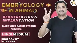 Blastulation & Implantation  (Embryology in Animals) | Hindi Medium #neet