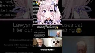 Lawyer uses cat filter during Zoom call 😹