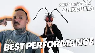 Chinchilla – 1:5 | UK Dad First Time Reaction
