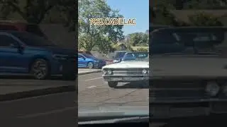 #phoenix #surprised #1962-CADILLAC #cadillac