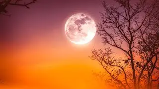 Relaxing Piano Music in a Minor Key, Autumn Night Background Music, Calm Chords