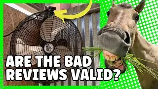 How To Keep Your Horse Cool In The Summer And Keep Flies Away From Your Horse #horsecare