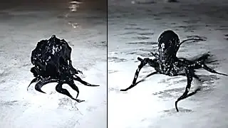 Man Gives Chilling Update On The Alien Entity He Found Inside A Crashed Meteorite In Panama
