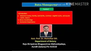 Butea monosperma