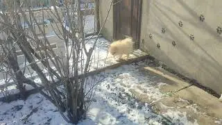 С Крещением всех,всем Добра,Мира,Радости🙏🤗