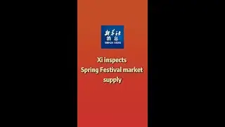 Xinhua News | Xi inspects Spring Festival market supply