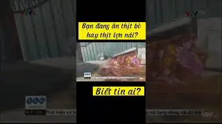 Thật giả lẫn lộn. #thucphamban #songkhoe #ungthu #xuhuong #sorts