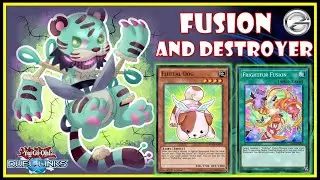 Yugioh Duel Links | Best Fusion Deck In Yugioh Arc-V World - Fluffal Deck 2022 | 遊戯王デュエルリンクス