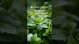 herb.my Premium Domain is Available