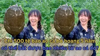 Chi 500 Tệ Với Ao Cá Của Bà, Bí Mật Dưới Lớp Bùn Sâu