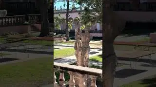 John and Mable Ringling Museum #florida #slowtv #shortvideo #shorts #ringlingmuseum