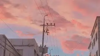 Ⓢⓞⓕⓘⓐ ⓔⓓⓘⓣ ⓐⓤⓓⓘⓞ
