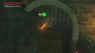 Beneath Hyrule Castle BOTW new glitch? 2020