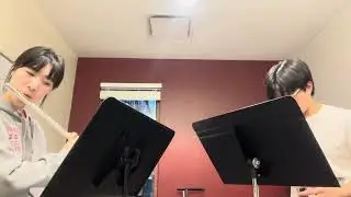 Clarinet & Flute Duet: The Town with an Ocean View