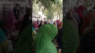 Teachers protesting for their rights.