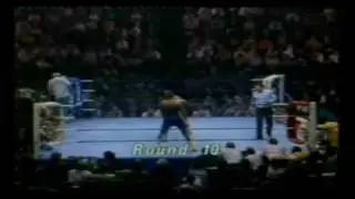 Herol Graham vs Mike McCallum 5/6