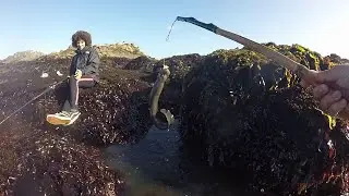 Poke Pole Fishing: HUGE 5lb Monkeyface Prickleback Eel!