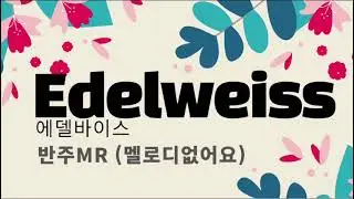 에델바이스 반주 Edelweiss mr  (멜로디없음)