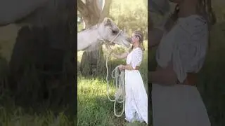 I Recommend a Pet Camel, But Here&rsquo;s the Catch