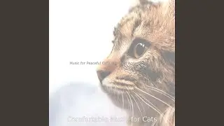 Refined Music for Home with Cats