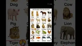 #word#englishvocabulary #englishwords#english #animals#vocabulary #newwords#grammar#spoken#shorts#ok