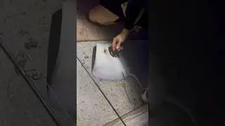 *HOW to safely release a STINGRAY(SUBSCRIBE TO CHANNEL FOR MORE TIPS)#best #fishing #hack #pesca