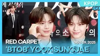 YOOK SUNGJAE, 2025 KCA Awards Red Carpet