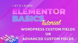 WordPress Custom Fields or Advanced Custom Fields with Elementor