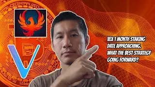 VET VEX 1 month yield farming date approaching. Revote for rewards. What the best strategy?