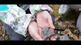 Trilobit