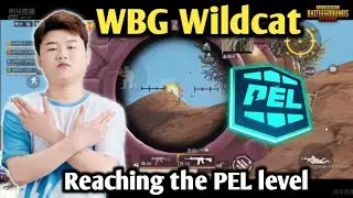 Wildcat takes on Order & Paraboy &bull; WBG Wildcat PoV &bull; PEL 2021 S3 Scrims