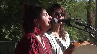 ALBERI SONORI - FESTIVAL MEDITERRANEO 2022